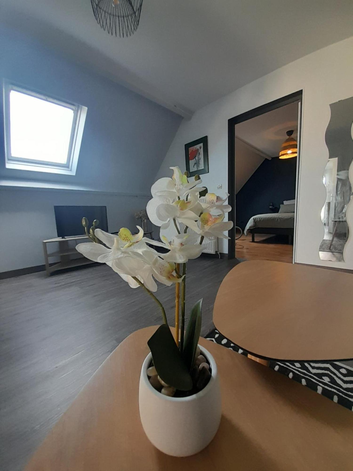 Apartment Le Bon Plan Entre Caen Et La ** Draps Et Ménage Inclus !** Giberville